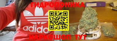 apvp Заволжье