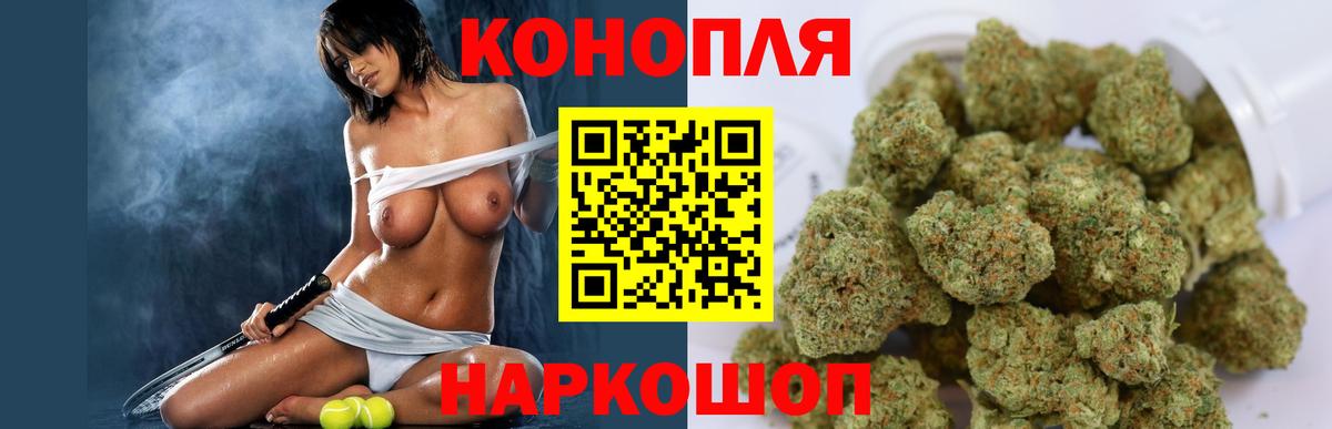 Кувандык  Бошки марихуана сатива  Канабис план  Конопля White Widow  Вход с VPN  Конопля OG Kush 